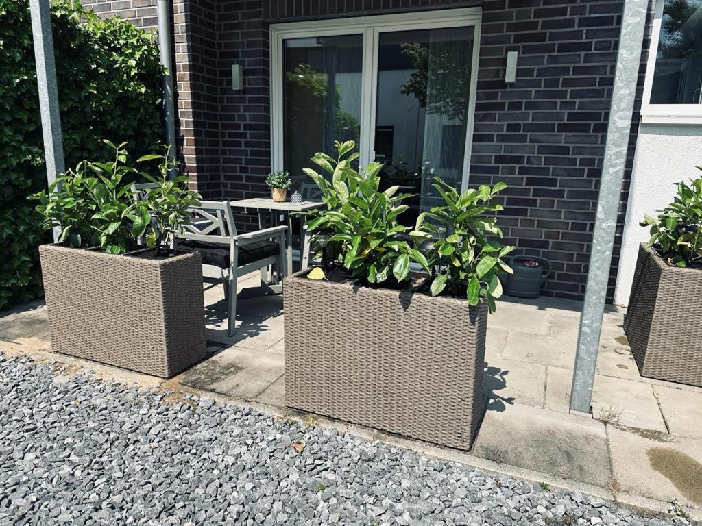 Fewo Am Ring - Mit Terrasse Nordhorn Eksteriør billede